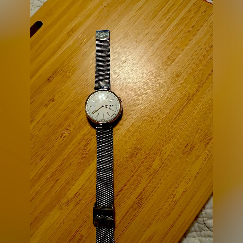 Skagen Smart Watch EUC